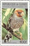 [Birds, type ASB]