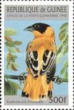 [Birds, type ASD]