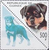 [Dogs, Tipe AVI]