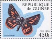 [Butterflies, type AWY]