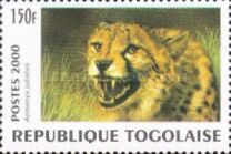[Big Cats from around the World, タイプ CUK]