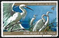 [Airmail - Birds of Djoudj Park, type NN]