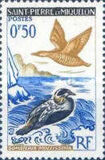 [Birds, type CX]