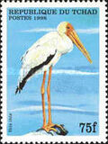 [Birds, type BBI]