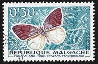 [Butterflies and Agricultural Products, type KA]