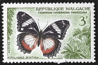 [Butterflies and Agricultural Products, type KE]