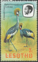[Birds, 类型 KY]