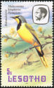 [Birds, 类型 KZ]