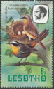 [Birds, 类型 LA]