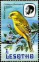[Birds, 类型 LB]