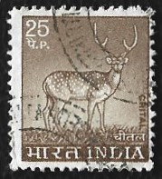[Spotted Deer, тип PE]