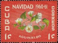 [Christmas, type WY]