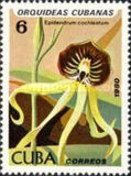 [Orchids, Tipo DAU]
