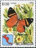 [Butterflies, Tipe XCJ]