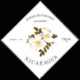 [Wild Roses, type BQU]