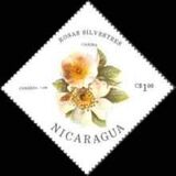 [Wild Roses, type BQV]