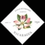 [Wild Roses, type BQX]