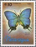 [Butterflies, type BTY]