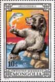 [Bears, loại ZEK]