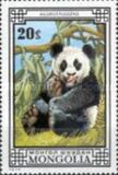 [Bears, loại ZEL]