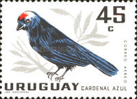 [Airmail - Birds, type OT]