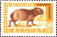 [Airmail - Local Fauna, type WU]