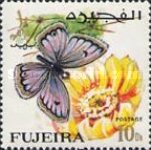 [Butterflies, тып FH]