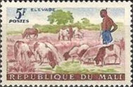 [Livestock Farming, Agriculture and Art, ประเภท Z1]