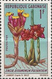 [Flowers, タイプ HE]