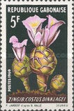 [Flowers, タイプ HG]
