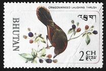 [Pájaros., tipo IF]