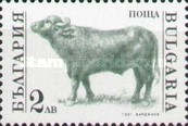 [Domestic Animals, type EKJ]