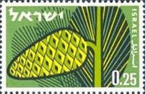 [Afforestation Achievements, Tipi HS]