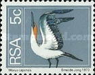 [Flora and Fauna, type NK]