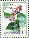[Fruits - Berries, typ DVA]