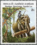 [Indian Elephant, Tip TE]