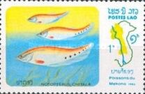 [Fish of Mekong River, type YU]