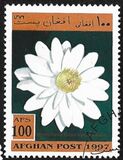 [Piante acquatiche - Secondo l'UPU, il governo dell'Afghanistan dopo il 2001 ha dichiarato che tutti i francobolli con il nome Afghan Post, prodotti durante l'era del dominio talebano, erano non autorizzati e illegali, Scrivi AOE]
