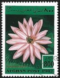 [Piante acquatiche - Secondo l'UPU, il governo dell'Afghanistan dopo il 2001 ha dichiarato che tutti i francobolli con il nome Afghan Post, prodotti durante l'era del dominio talebano, erano non autorizzati e illegali, Scrivi AOH]