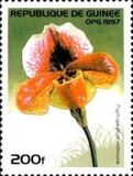 [Orchids, type ATH]