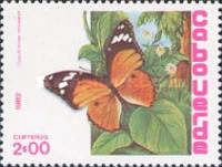 [Butterflies, type HE]