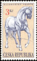 [Kladrubski Horses, Typ DR]