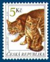 [Cats, 유형 GT]