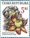 [Nature Conservation - Mushrooms, type IV]