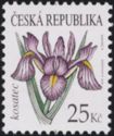 [The Beauty of Flowers, tipas XQ]