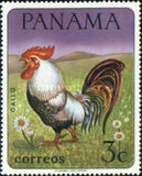 [Domestic Animals, type TM]