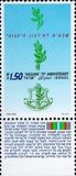 [The 70th Anniversary of Formation of Hagana (Underground Military Organization), type APS]