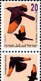 [Songbirds, type ATB]
