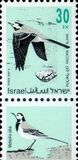 [Songbirds, type ATC]
