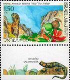[Nature Reserves, タイプ ATF]